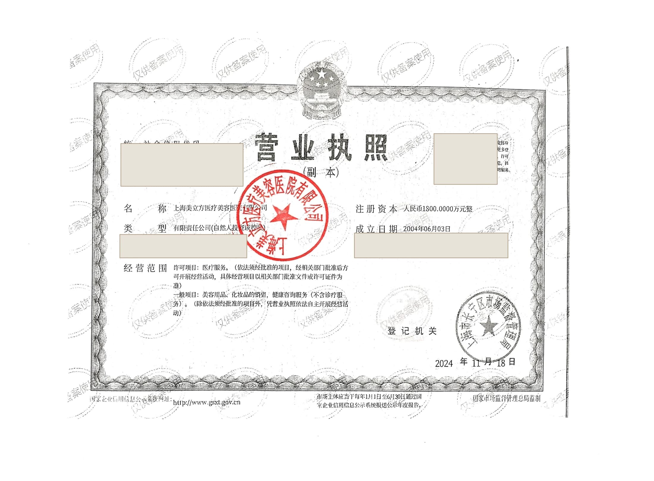 Redacted public preview of the hospital business license